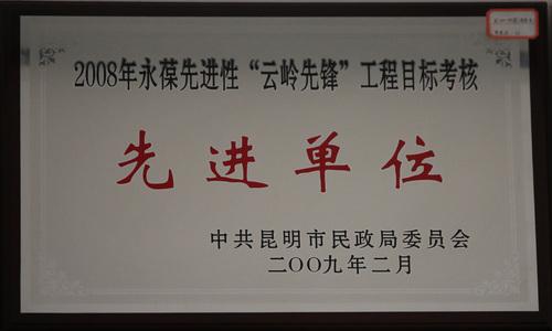 2008年永葆先进性“云岭先锋”工程目标考核先进单位（中共昆明市民政局委员会）