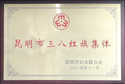 昆明市三八红旗集体（昆明市妇女联合会2014年11月）