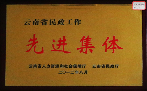 云南省民政工作先进集体（云南省民政厅）