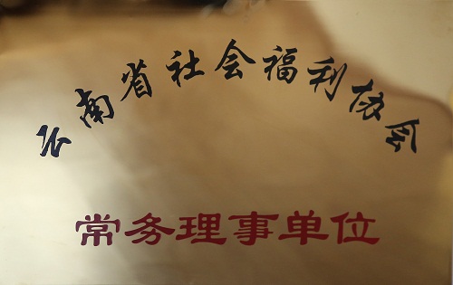 云南省社会福利协会常务理事单位